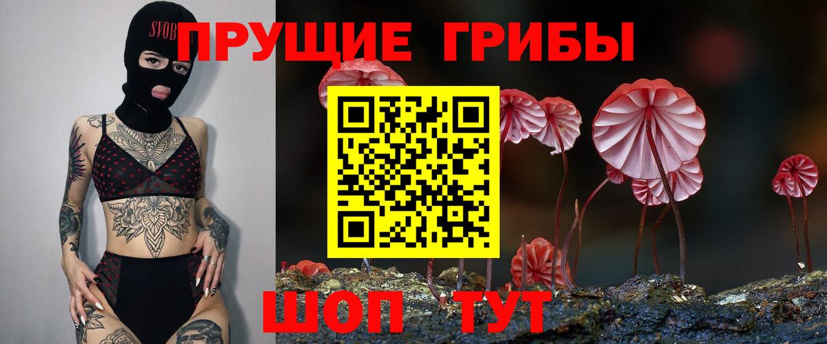 Псилоцибиновые грибы Psilocybe Нефтекамск